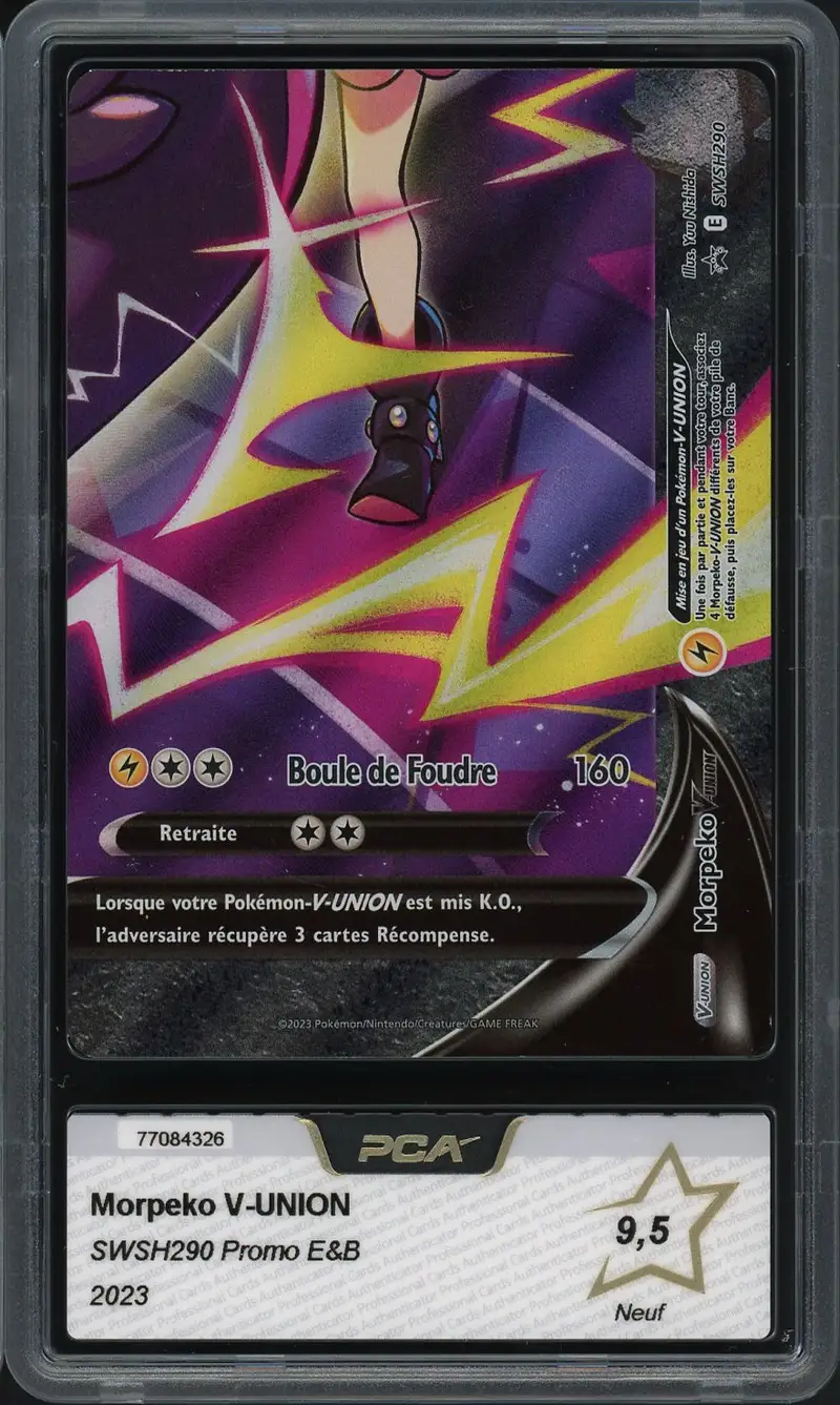 PCA 9.5 Morpeko V Union