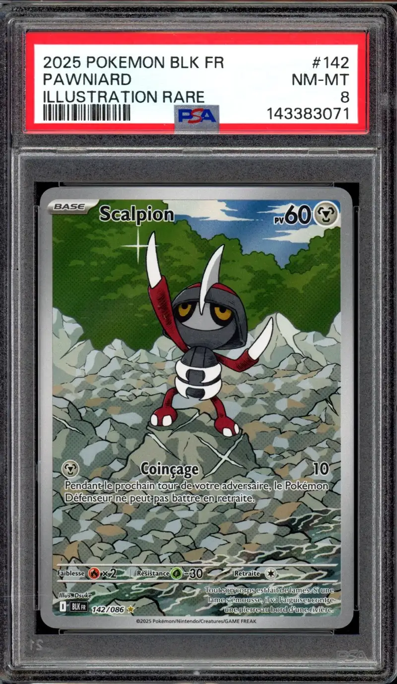 PSA 8 Scalpion