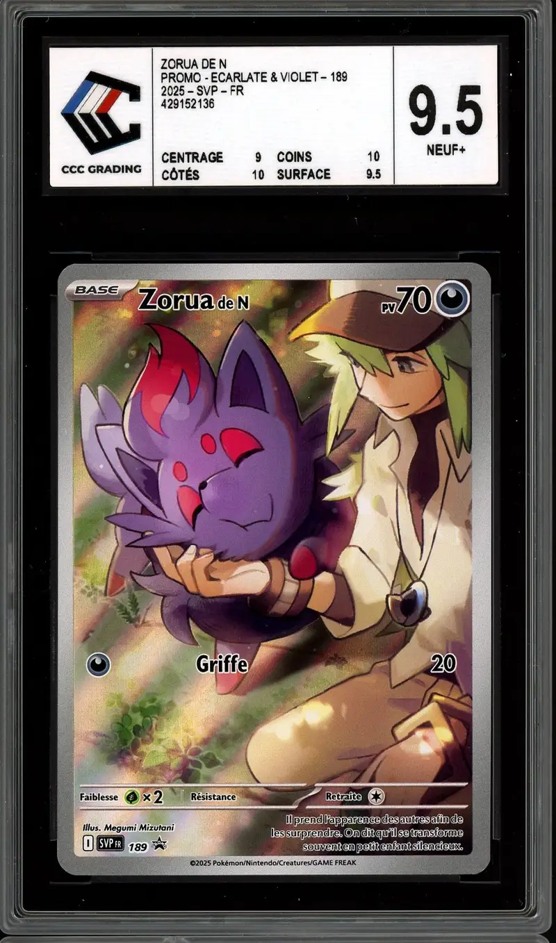 CCC 9.5 Zorua de N
