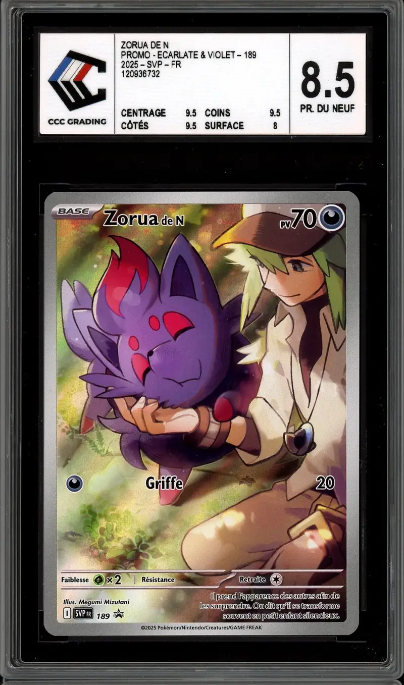 CCC 8.5 Zorua de N