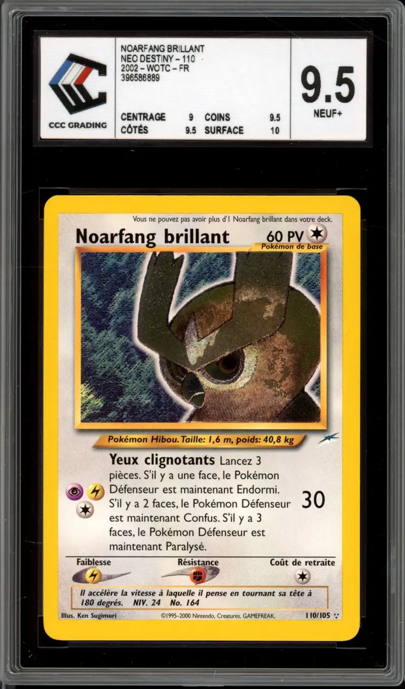 CCC 9.5 Noarfang Brillant