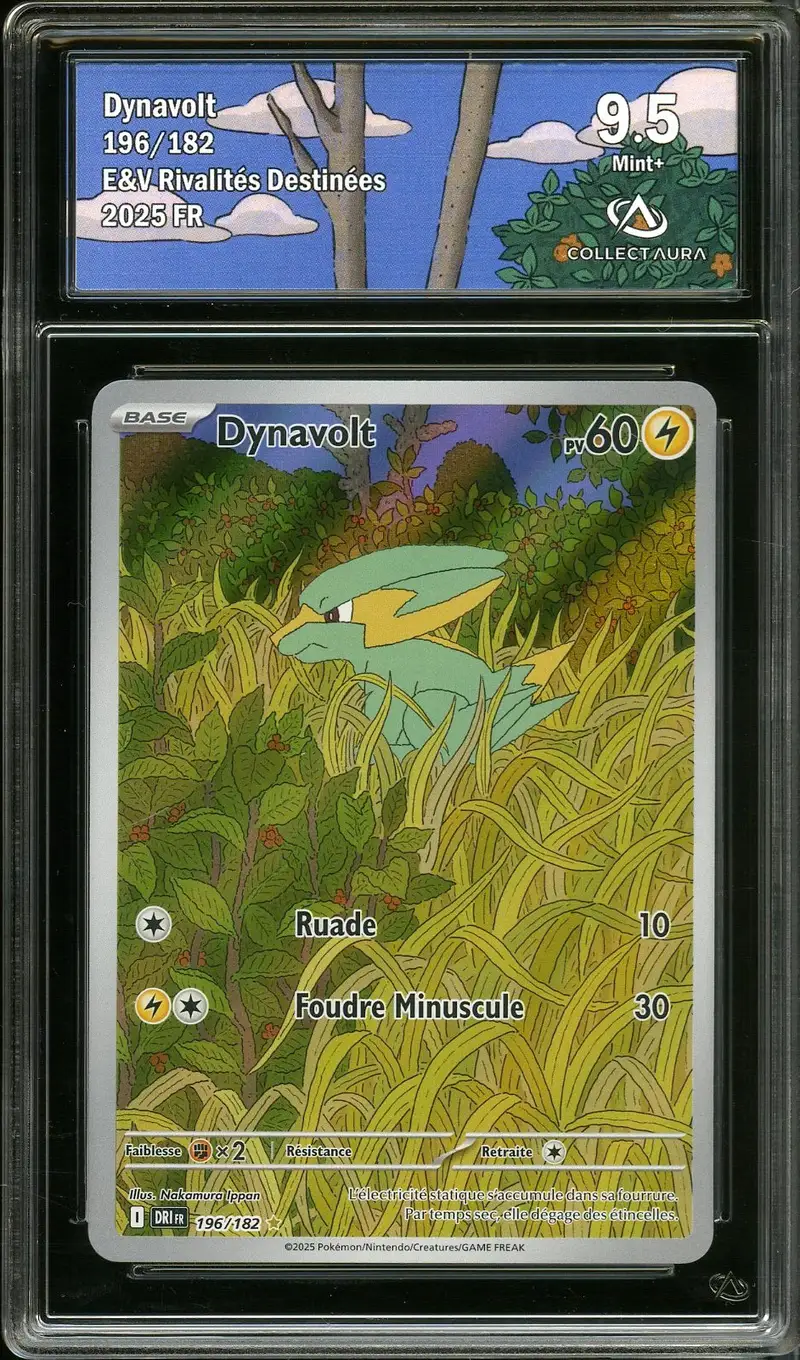 CA 9.5 Dynavolt