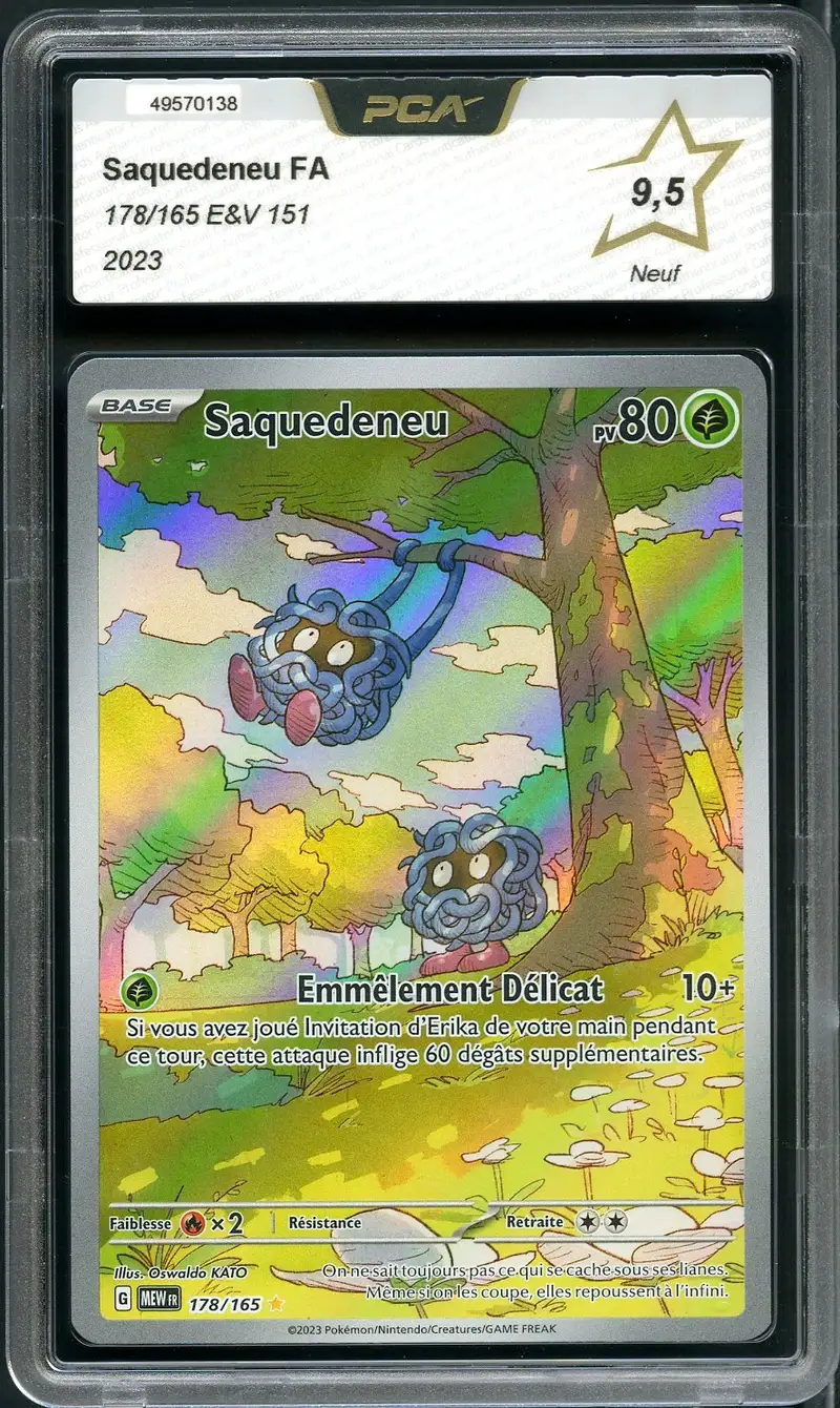 PCA 9.5 Saquedeneu