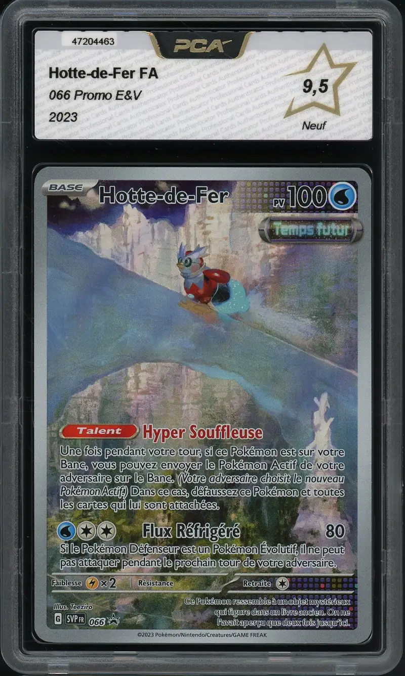 PCA 9.5 Hotte-de-Fer