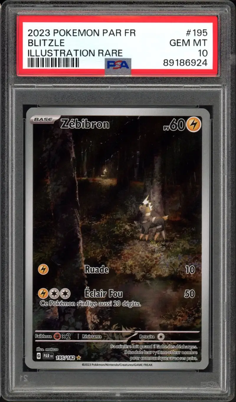 PSA 10 Zébibron