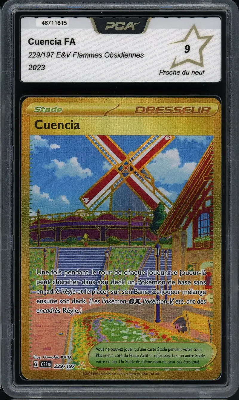 PCA 9 Cuencia Gold