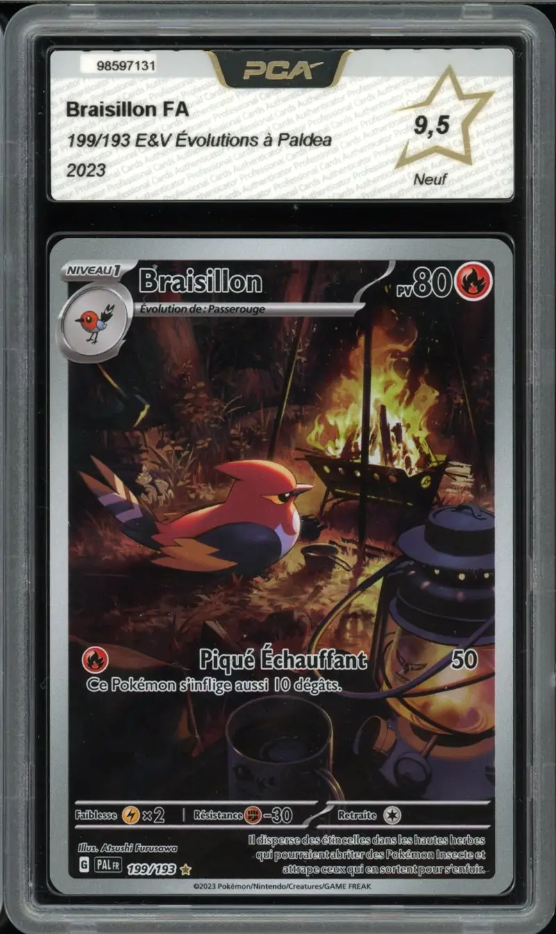 PCA 9.5 Braisillon