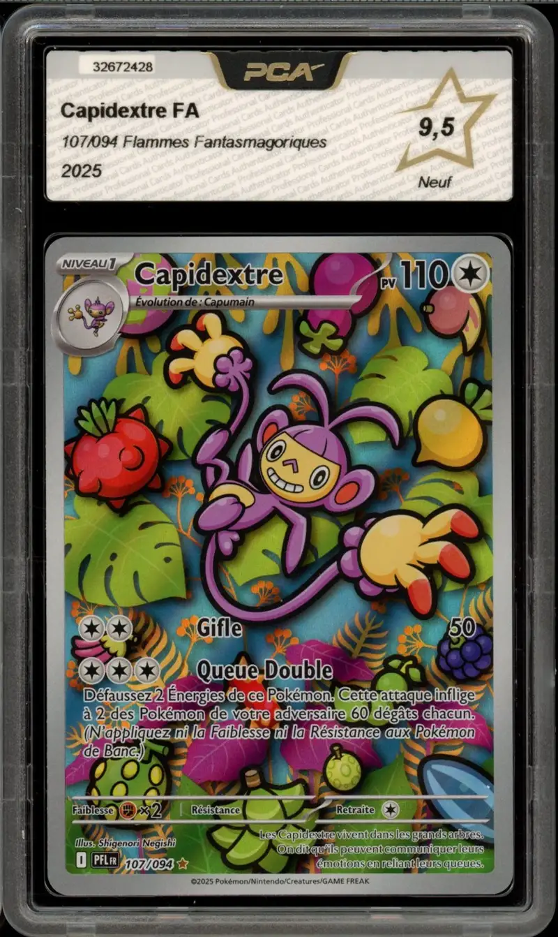 PCA 9.5 Capidextre