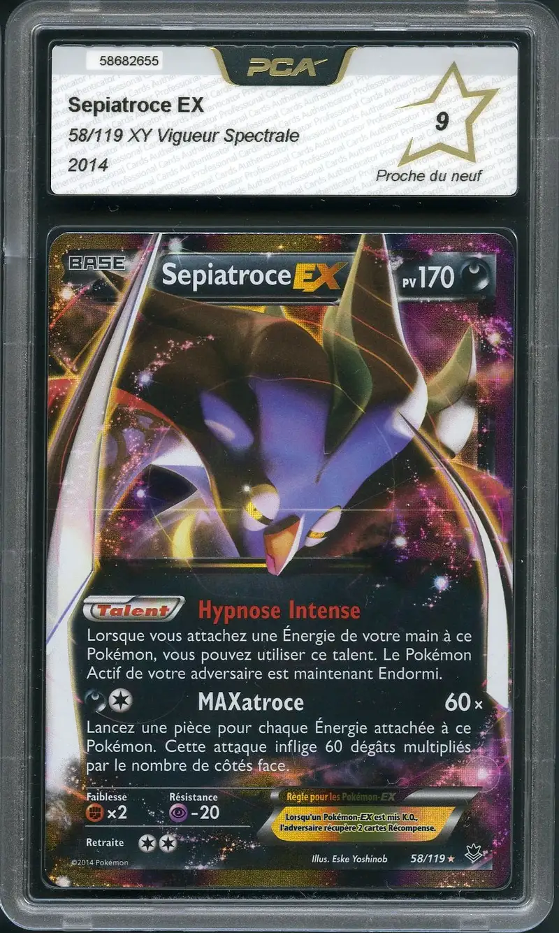 PCA 9 Sépiatroce Ex