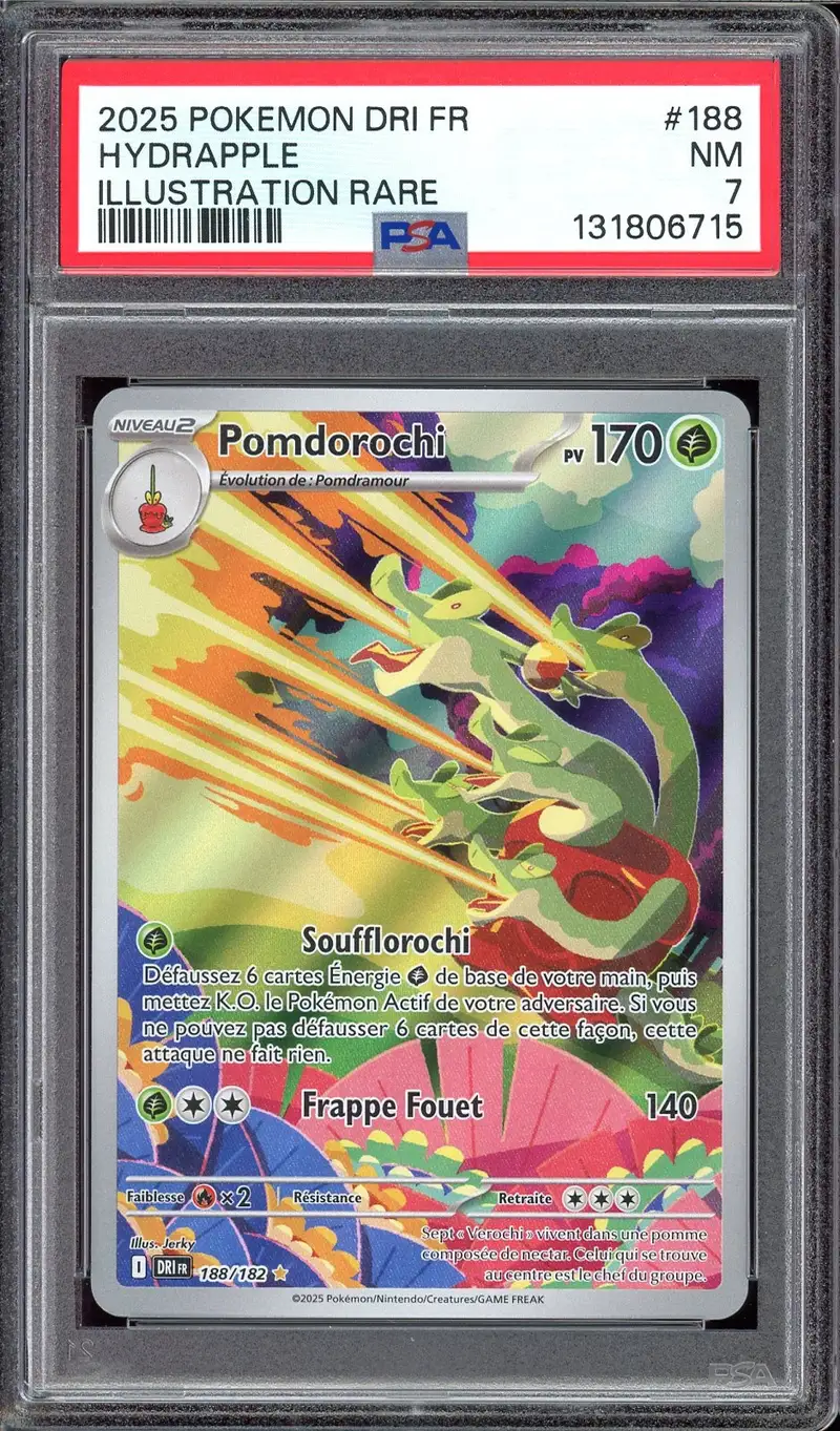 PSA 7 Pomdorochi
