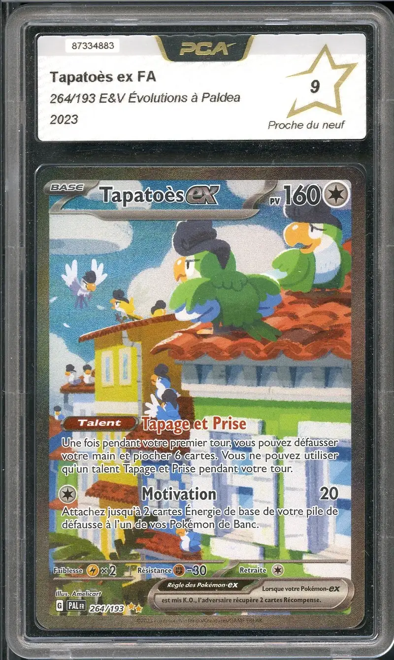 PCA 9 Tapatoès Ex