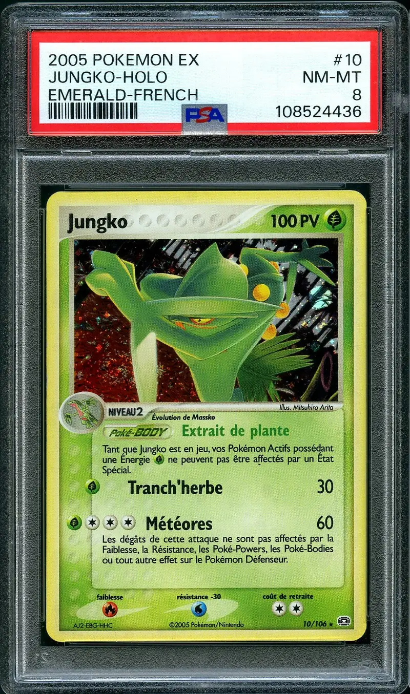PSA 8 Jungko Holo