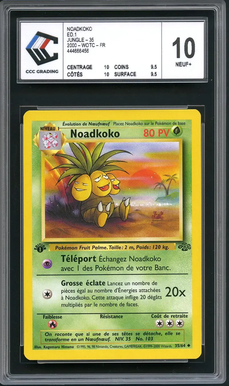 CCC 10 Noadkoko