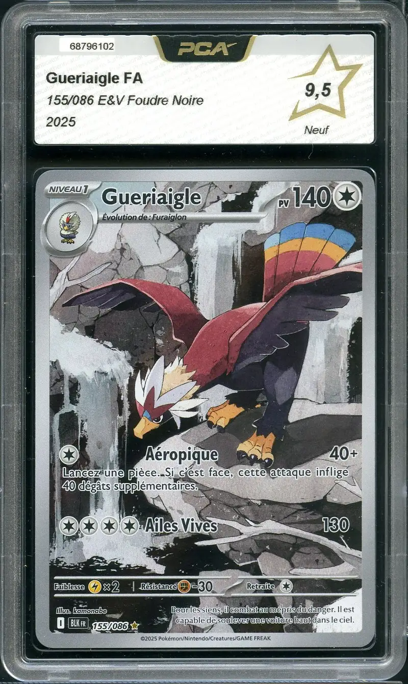 PCA 9.5 Gueriaigle