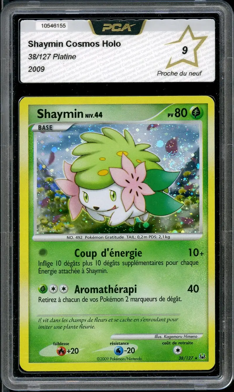 PCA 9 Shaymin Holo