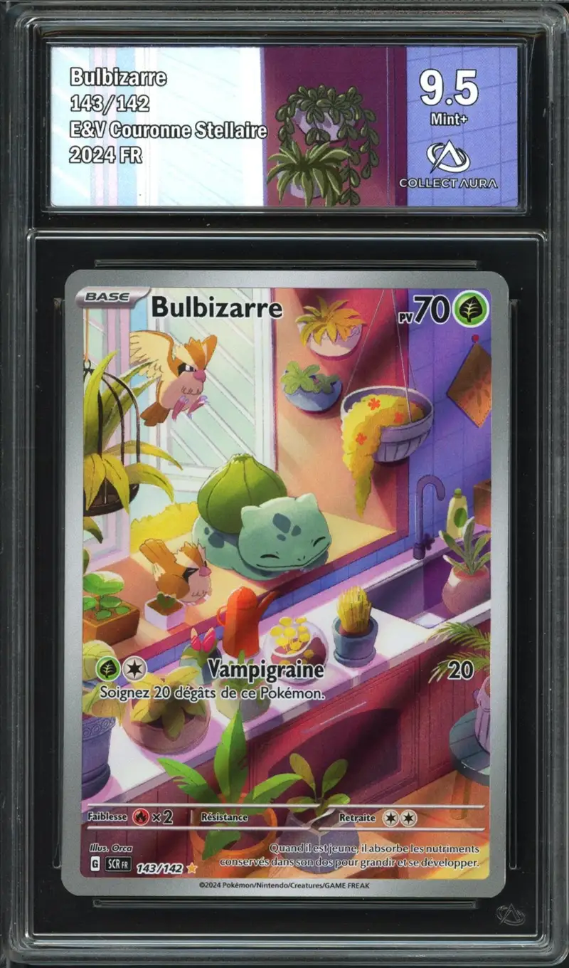 CA 9.5 Bulbizarre