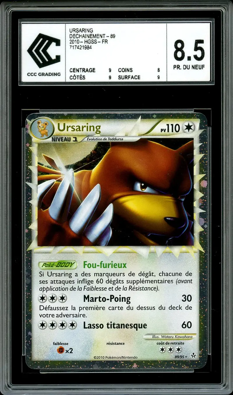 CCC 8.5 Ursaring Prime