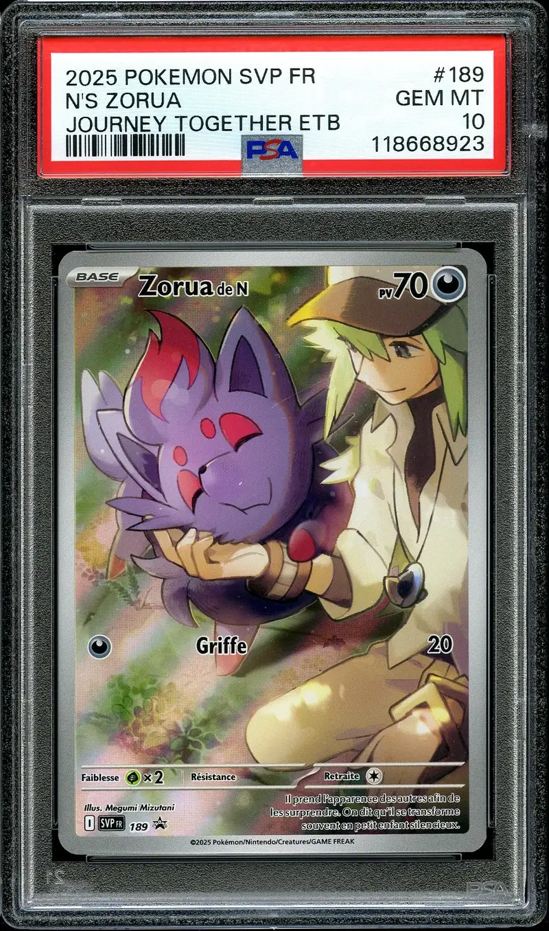 PSA 10 Zorua de N