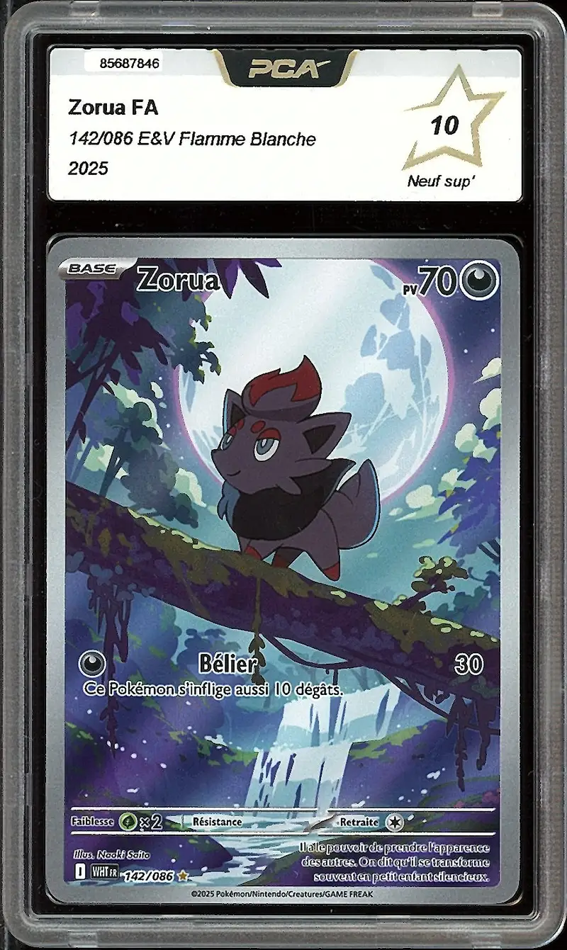 PCA 10 Zorua