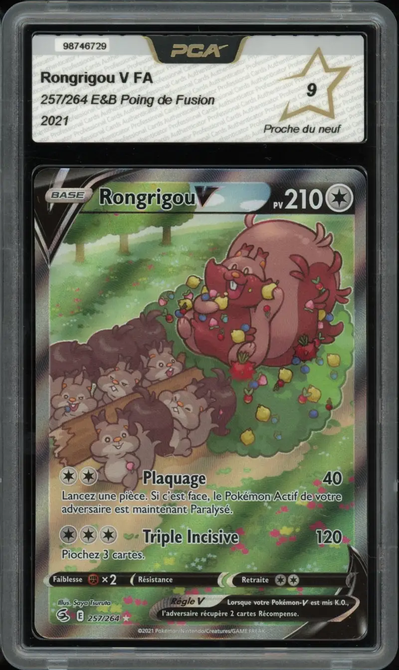 PCA 9 Rongrigou V