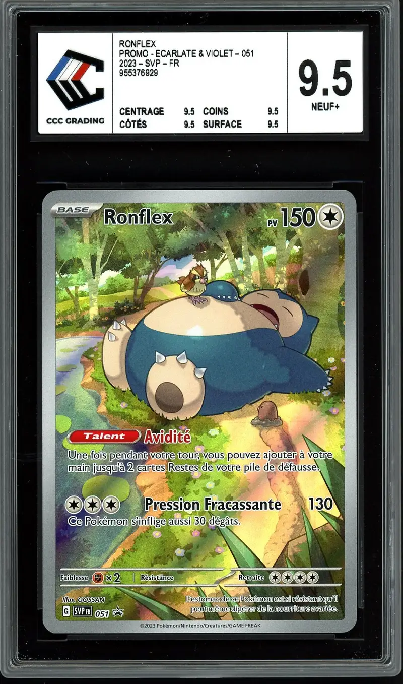 CCC 9.5 Ronflex