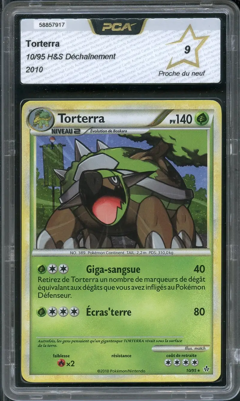 PCA 9 Torterra Holo