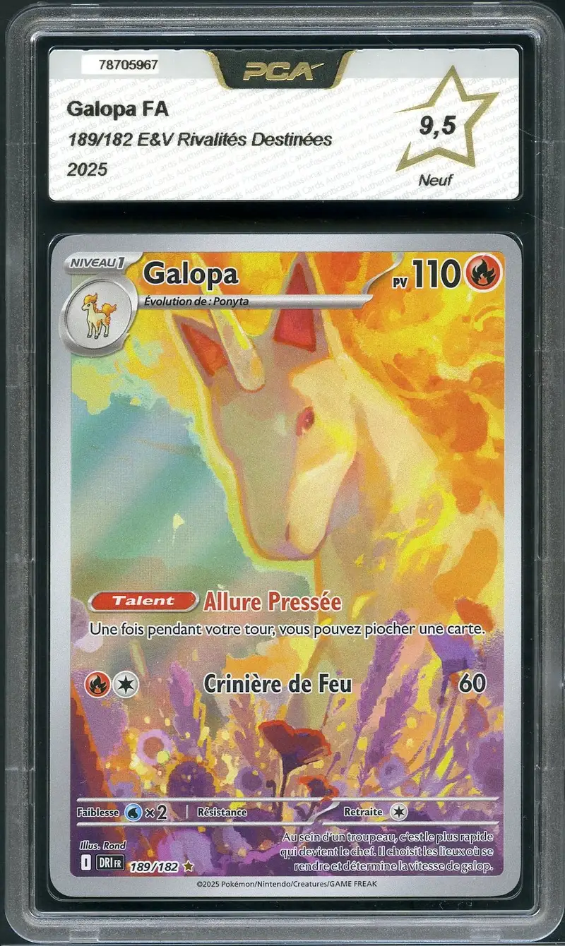 PCA 9.5 Galopa