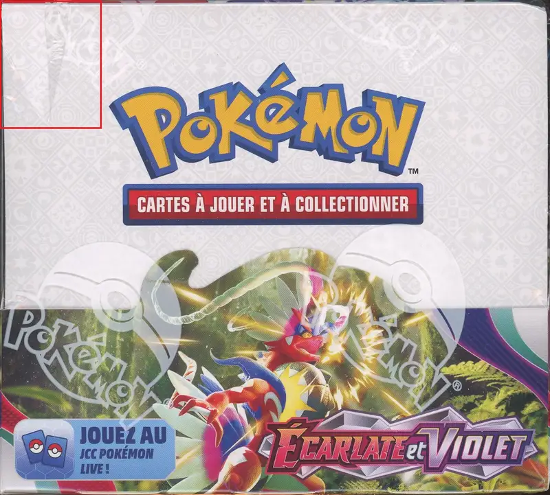 Display EV1 Ecarlate & Violet