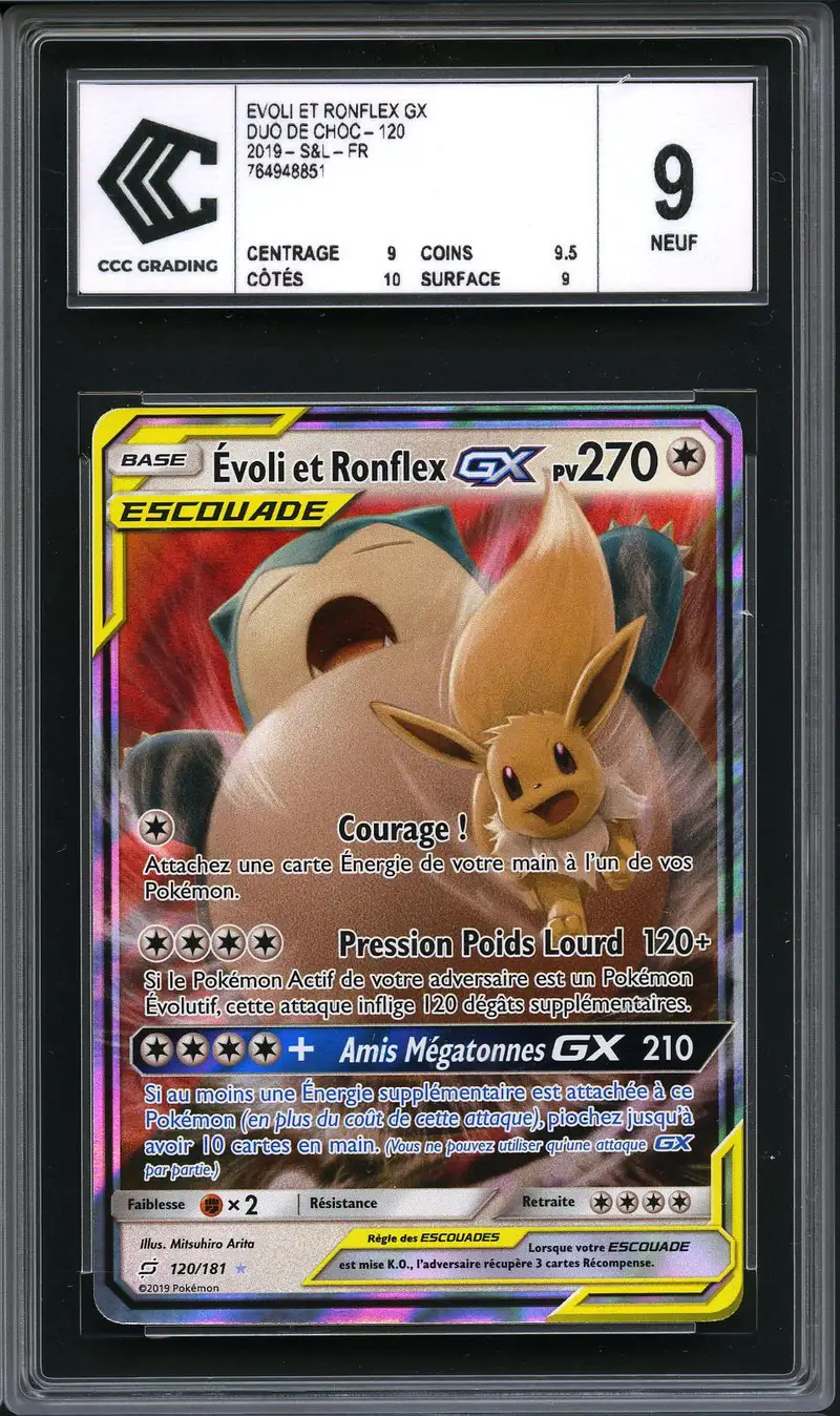 CCC 9 Evoli & Ronflex Gx