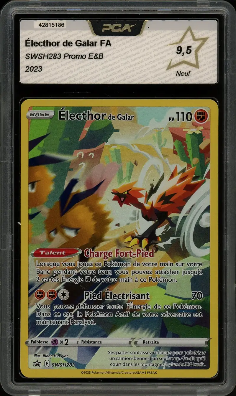 PCA 9.5 Electhor de Galar