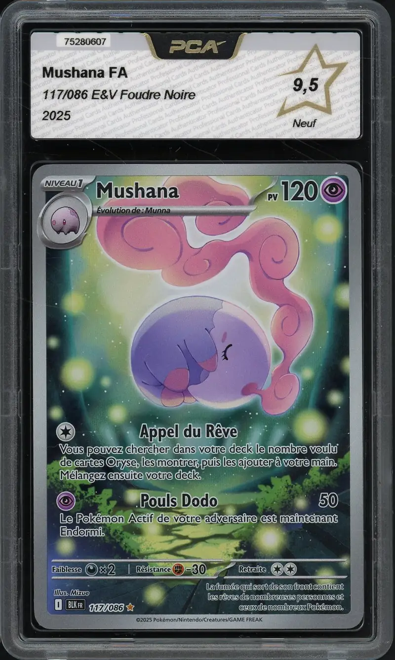 PCA 9.5 Mushana
