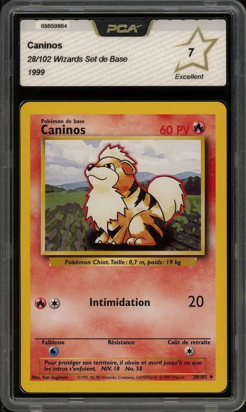 PCA 7 Caninos