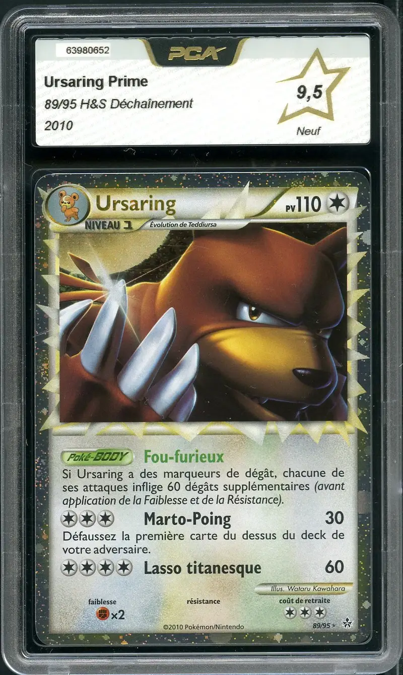 PCA 9.5 Ursaring Prime