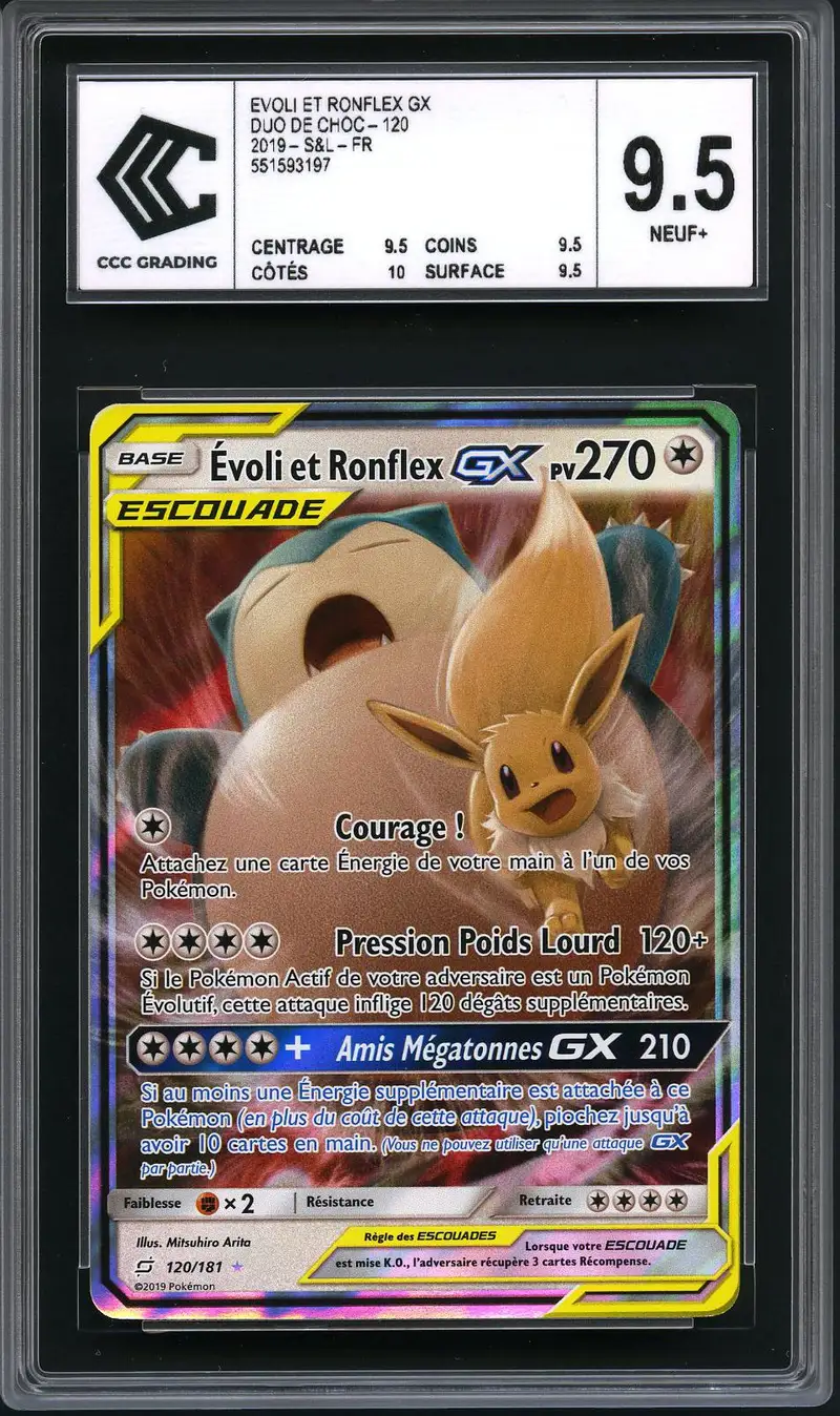 CCC 9.5 Evoli et Ronflex Gx
