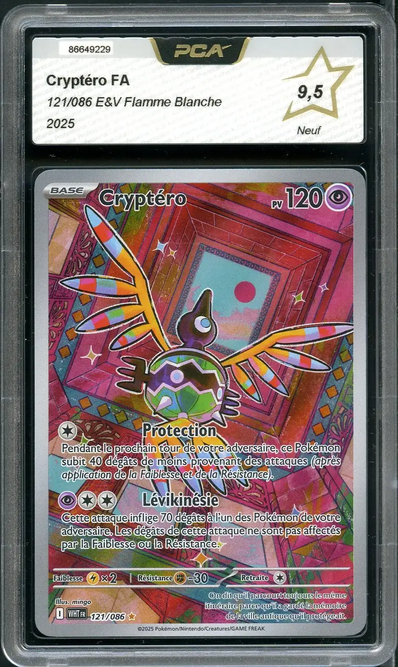 PCA 9.5 Cryptéro