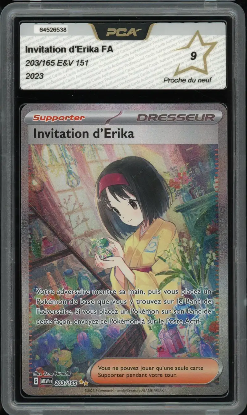 PCA 9 Invitation d'Erika