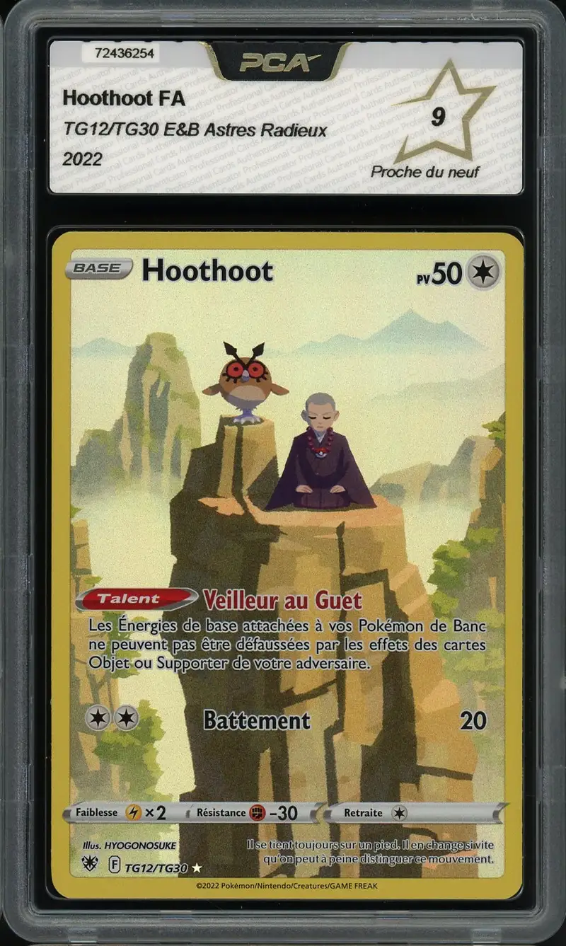 PCA 9 Hoothoot