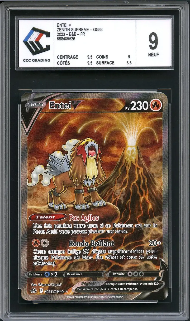 CCC 9 Entei V