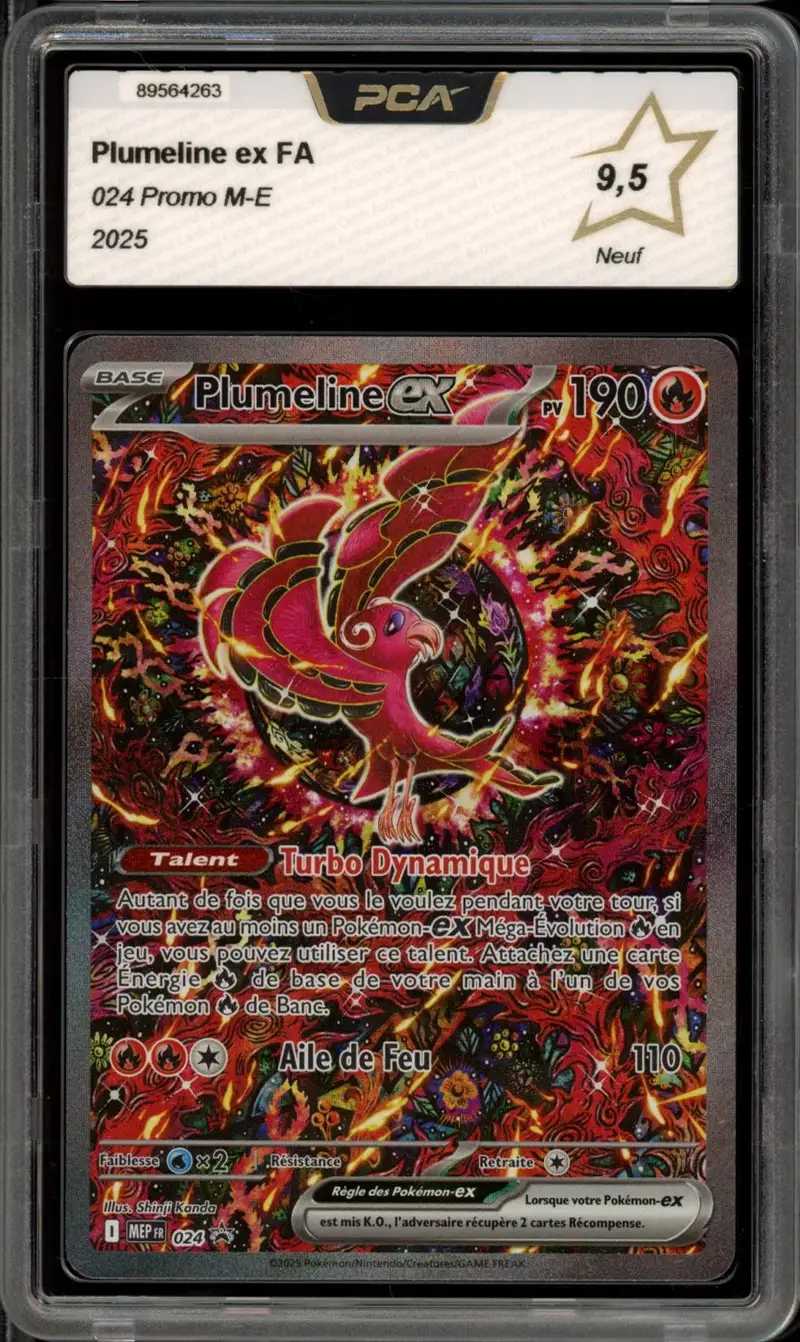 PCA 9.5 Plumeline Ex
