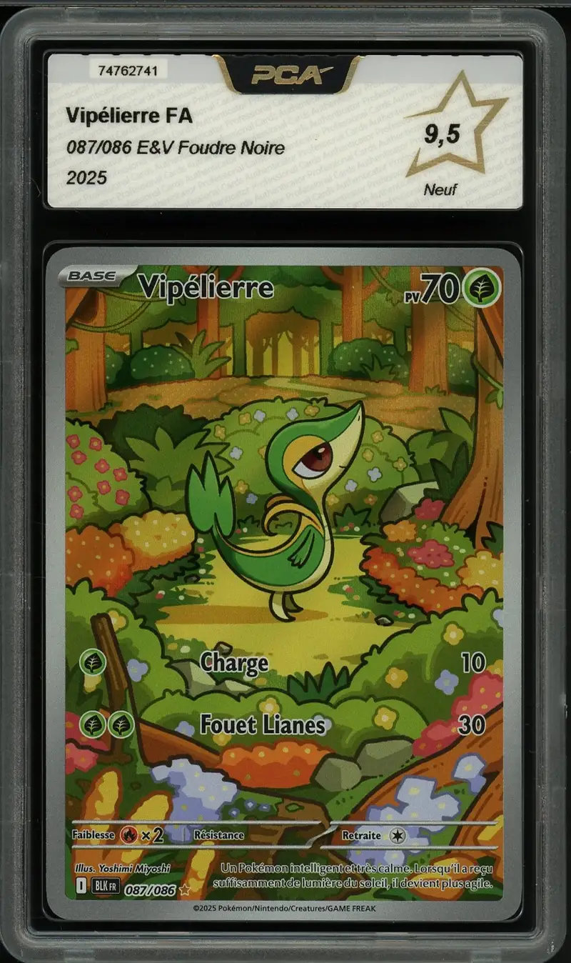 PCA 9.5 Vipélierre