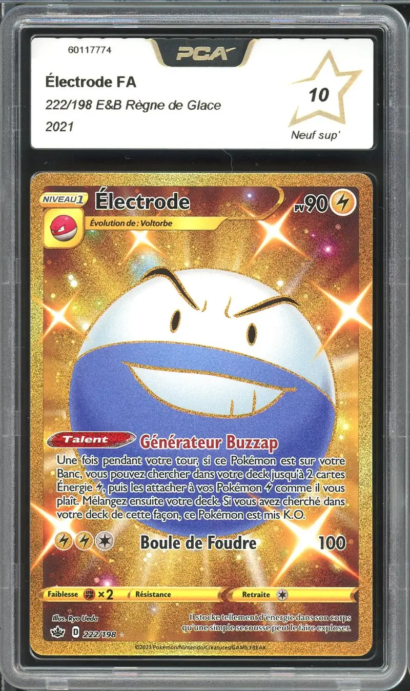 PCA 10 Electrode