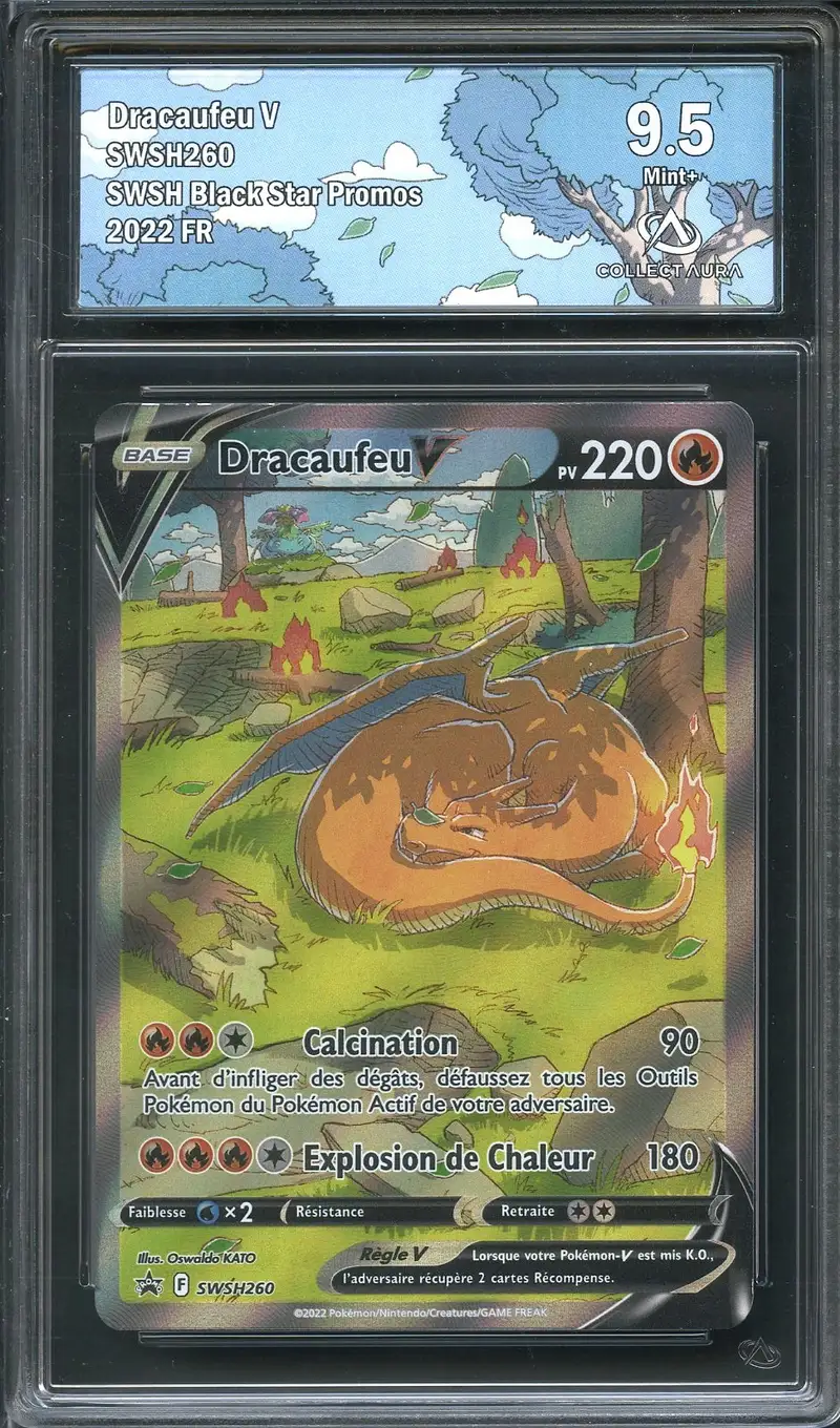 CA 9.5 Dracaufeu V