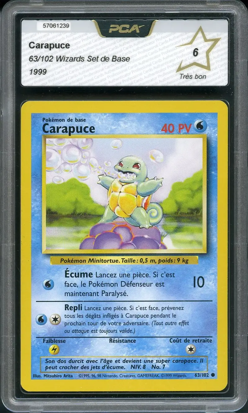 PCA 6 Carapuce