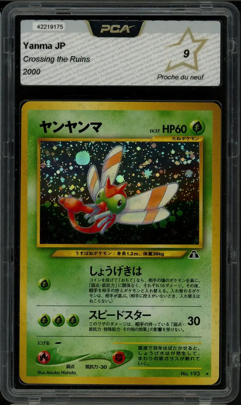 PCA 9 Yanma Holo