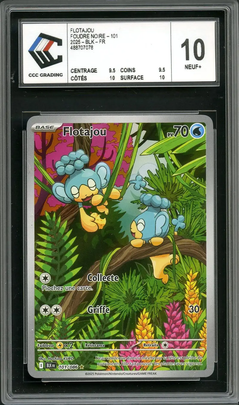 CCC 10 Flotajou