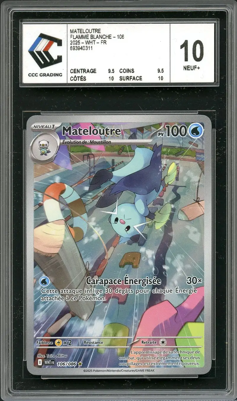 CCC 10 Mateloutre