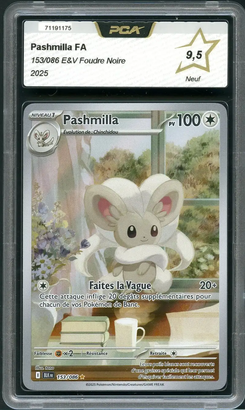 PCA 9.5 Pashmilla