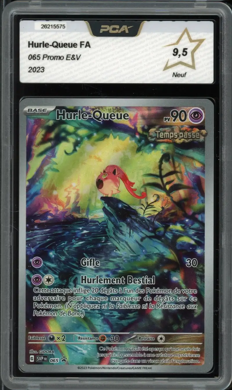 PCA 9.5 Hurle-Queue
