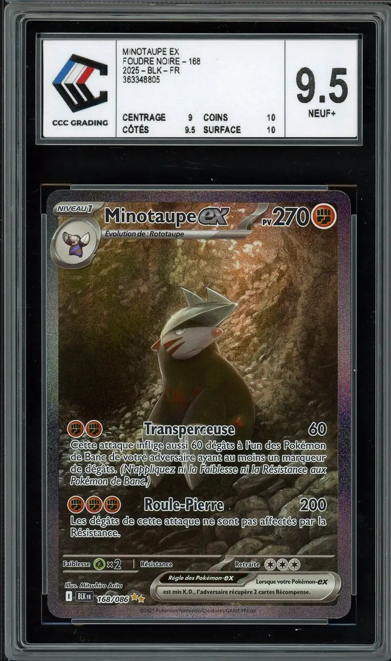CCC 9.5 Minotaupe Ex