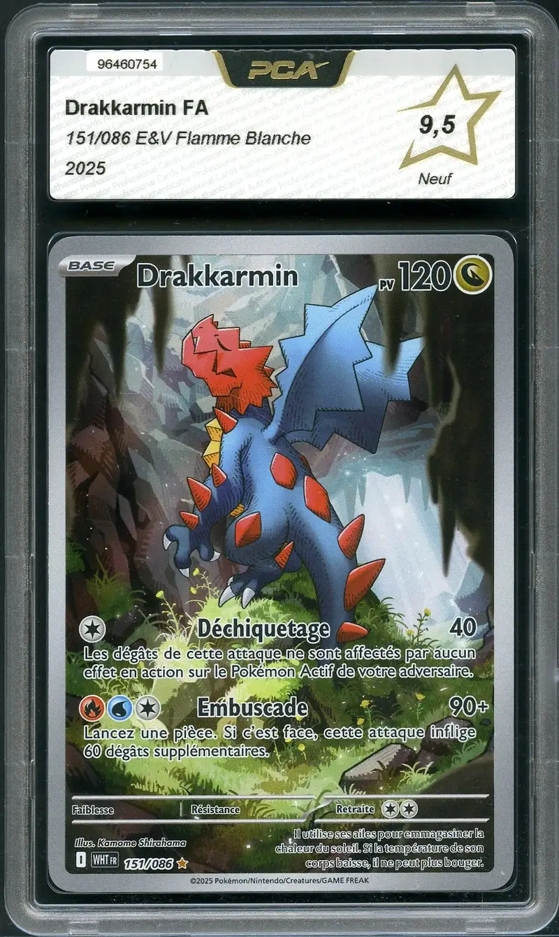 PCA 9.5 Drakkarmin
